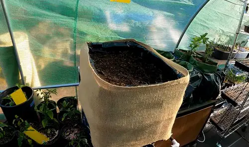 Cheap Patio Ideas for Budget Gardeners 7