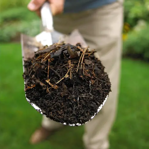 DIY Cucumber Fertilizers Compost Fertilizer
