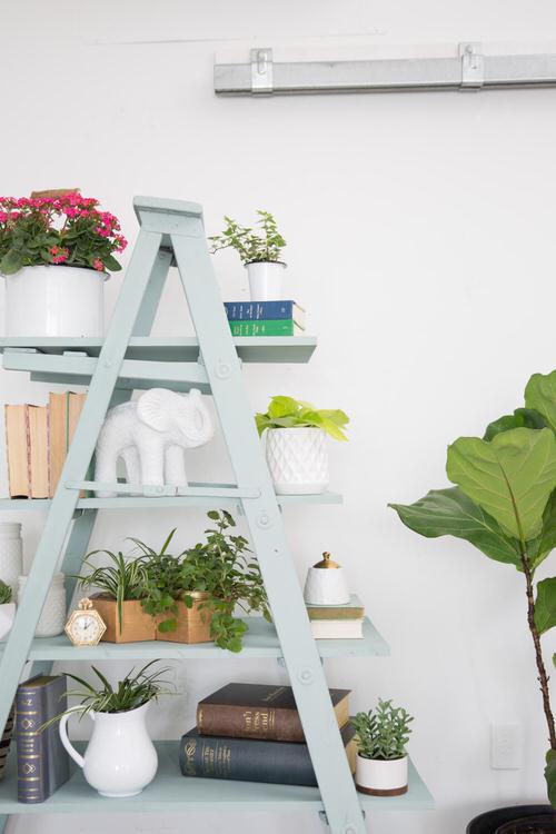 Indoor Stepladder Garden Ideas 4
