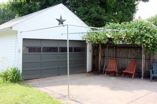 Grapevine Trellis Ideas 8