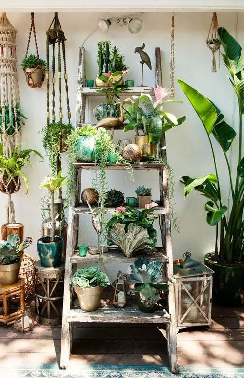 Indoor Stepladder Garden inspiration #6