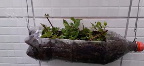 DIY Edible Garden Ideas  2