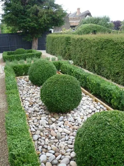 Formal Boxwood Tops on Pebble Bed
