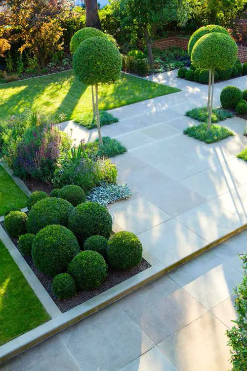 Urban Lawn with Boxwoods and Floral Groundcovers