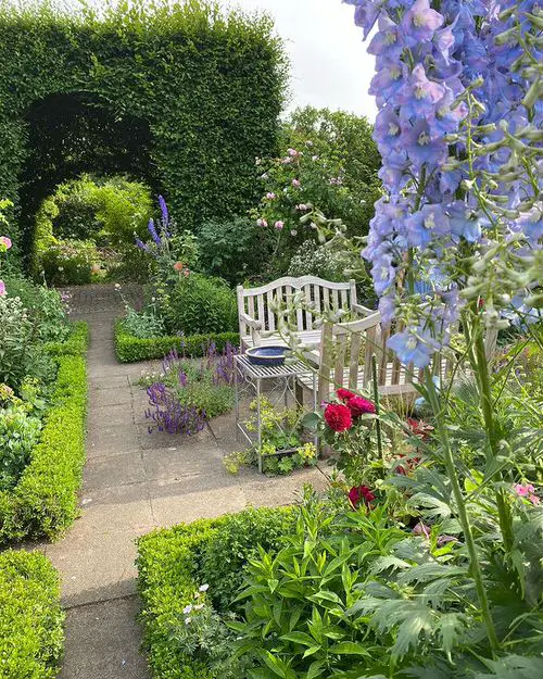 Pretty Delphinium Garden with Living Arbors