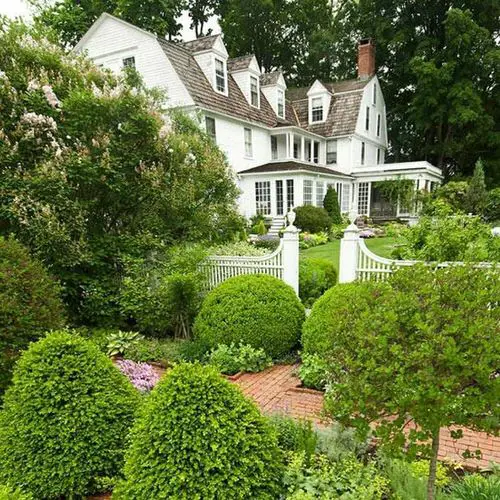 Beautiful Lush Lawn with Bushy Shrubs