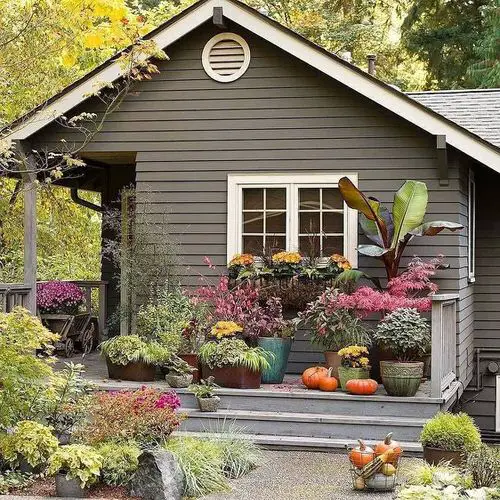 Formal Fall Garden with Colorful Foliage Plants