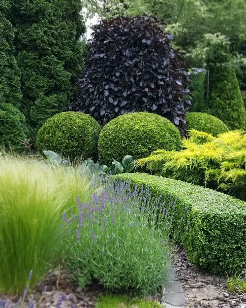 Topiary Garden Landscape