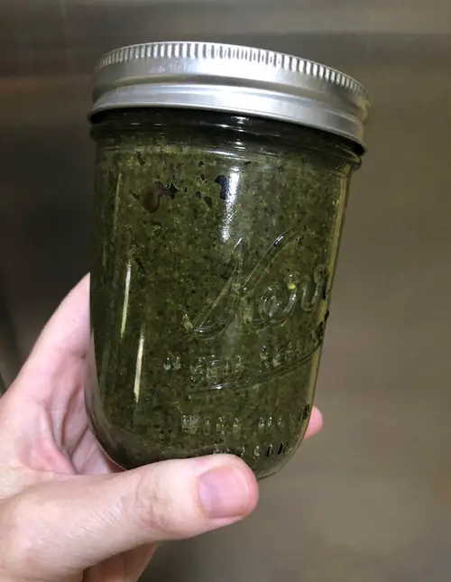 DIY Cucumber Fertilizers Kelp Meal Fertilizer