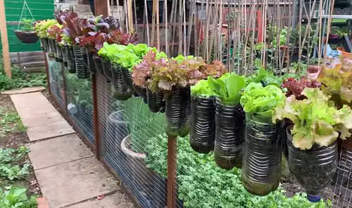 DIY Edible Garden Ideas  4