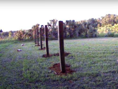 How to Make a Trellis for Grapevines 2