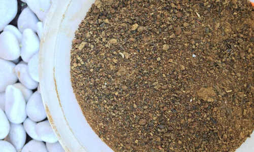 DIY Cucumber Fertilizers Cottonseed Meal Fertilizer