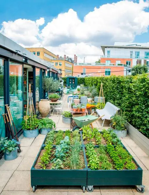 Rooftop Garden 10