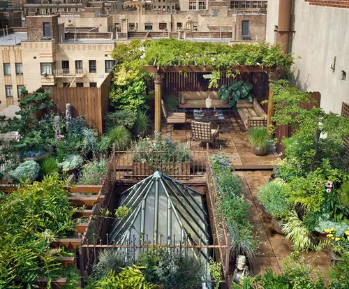 Rooftop Garden20