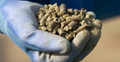 DIY Cucumber Fertilizers Alfalfa Pellets Fertilizer