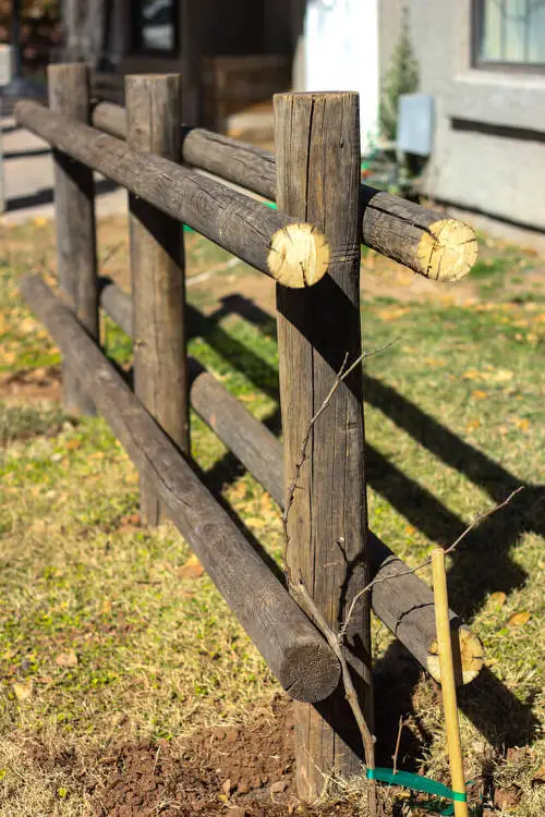 How to Make a Trellis for Grapevines 5