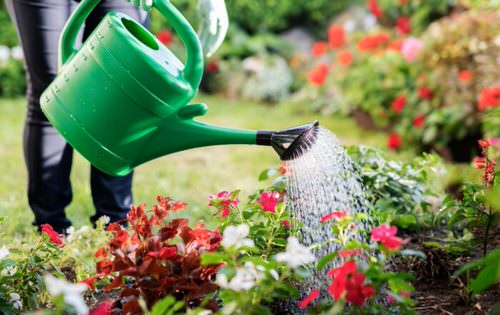 Bee Garden Ideas 1