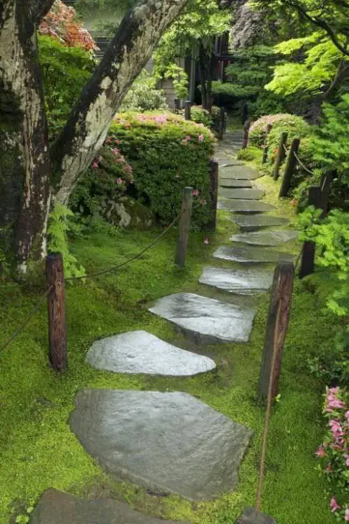 Backyard Garden Designs 35