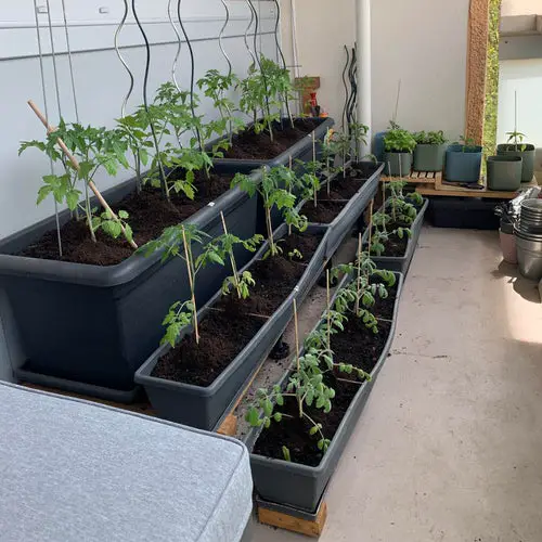Apartment Balcony Gardens on Reddit for Perfect Inspiration 6