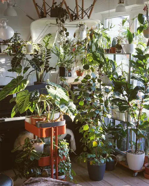 Apartment Balcony Gardens Inspiration #14