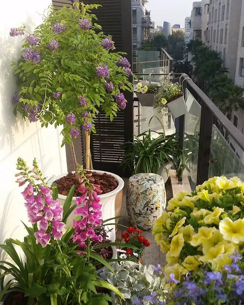 Apartment Balcony Gardens Inspiration #6