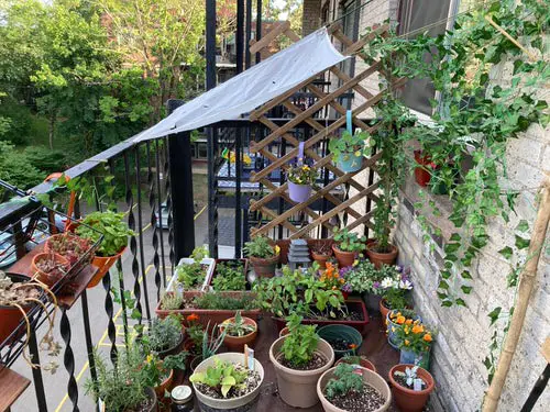 Apartment Balcony Gardens Inspiration #8