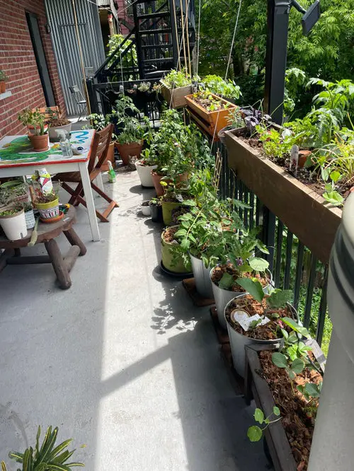 Apartment Balcony Gardens Inspiration #10