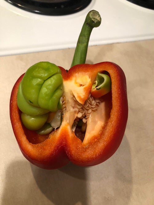 Fruits & Veggies Sprouting Anywhere 9