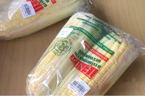 How to Grow Unlimited Corns 1