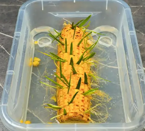 Sprout a Corncob and Grow Unlimited Corns