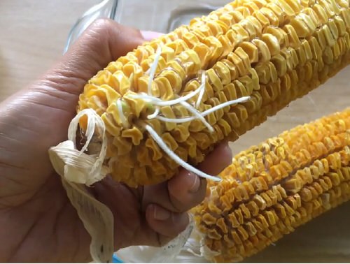 Sprout a Corncob and Grow Unlimited Corns 4