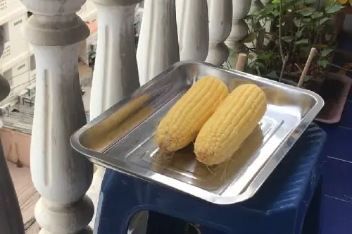 Sprout a Corncob and Grow Unlimited Corns 2
