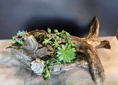 22 Fantastic DIY Garden Decor Using Tree Branches 5