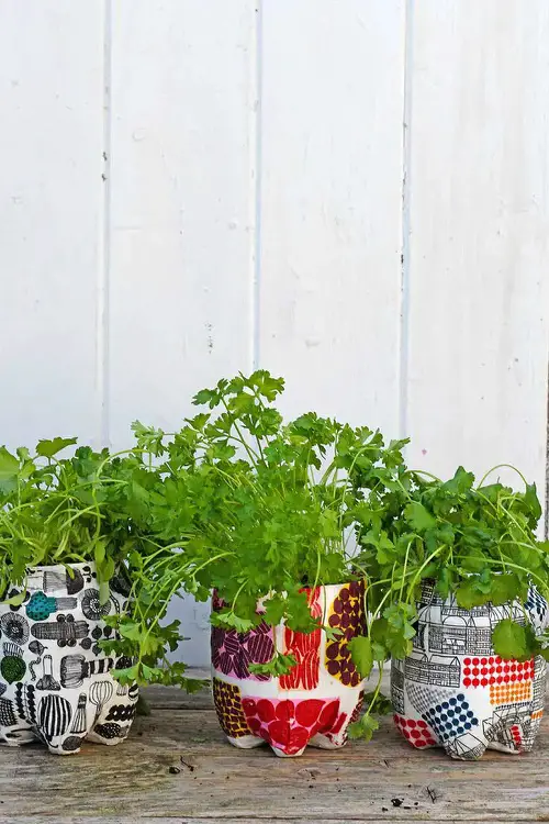 DIY Plastic Bottles Edible Garden Ideas  17