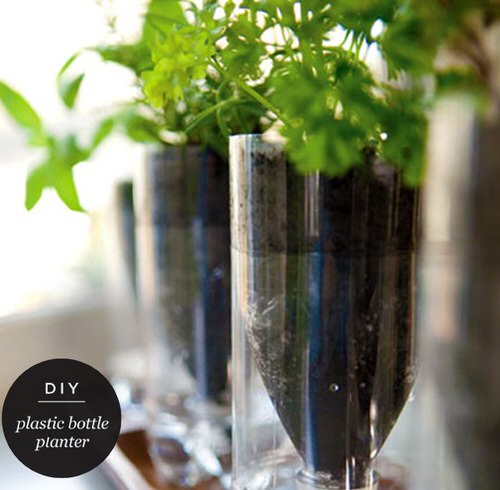 DIY Plastic Bottles Edible Garden Ideas  19