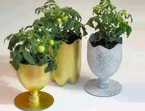 DIY Plastic Bottles Edible Garden Ideas  21