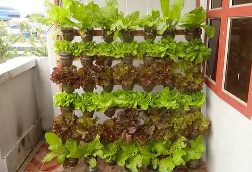 DIY Edible Garden Ideas  22
