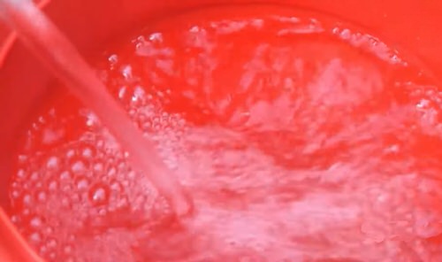 How to Make a Powerful Homemade Yeast Fertilizer for Cucumber Plants 1