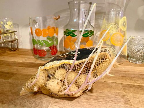 Terrifying Pics Show What Happens When Fruits And Veggies Start Sprouting Early! 4