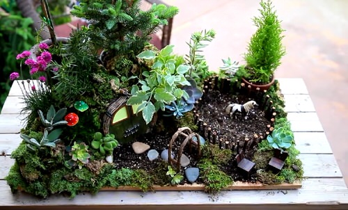 Mimic your Favorite Movie in a Fairy Garden