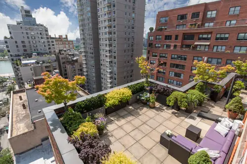 Most Beautiful Balcony Garden 11