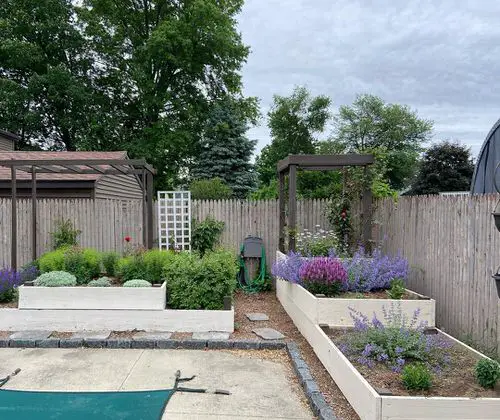 Backyard Garden image 2