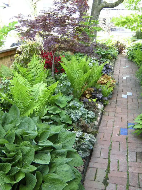 Nicest Backyard Garden Ideas 1