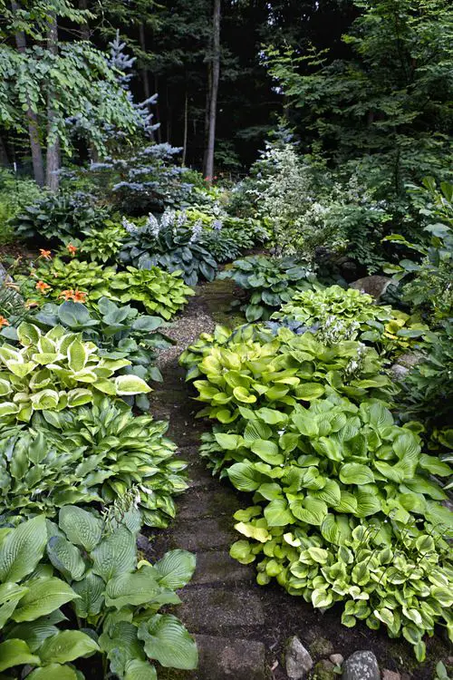 Backyard Garden Designs 4