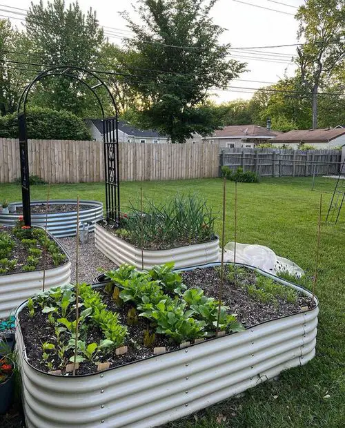 Backyard Garden image 1