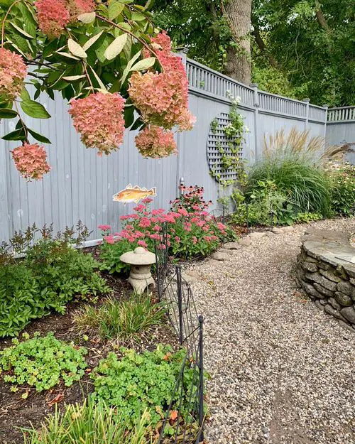 Backyard Garden image 8