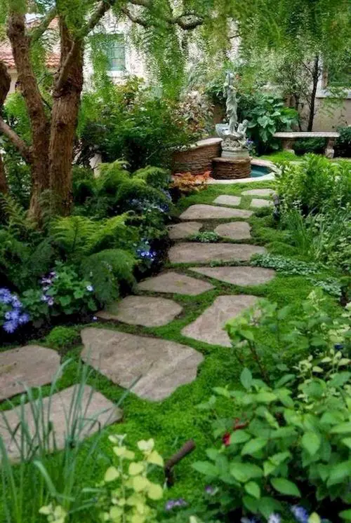 Backyard Garden image 7