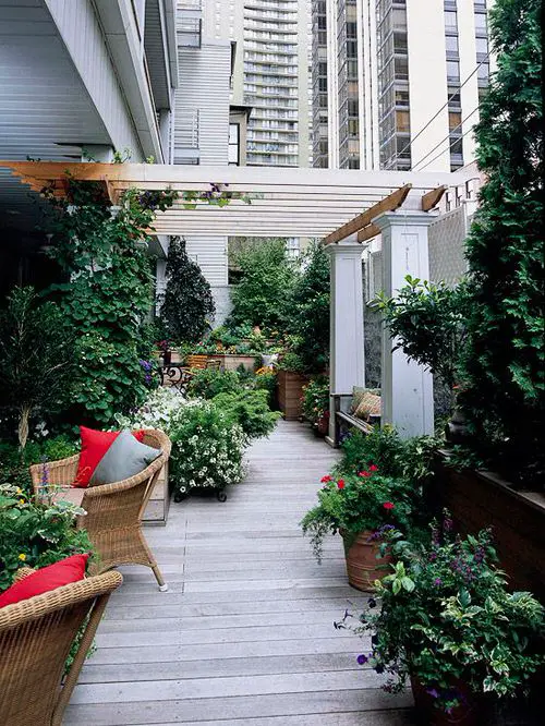 Rooftop Garden 28