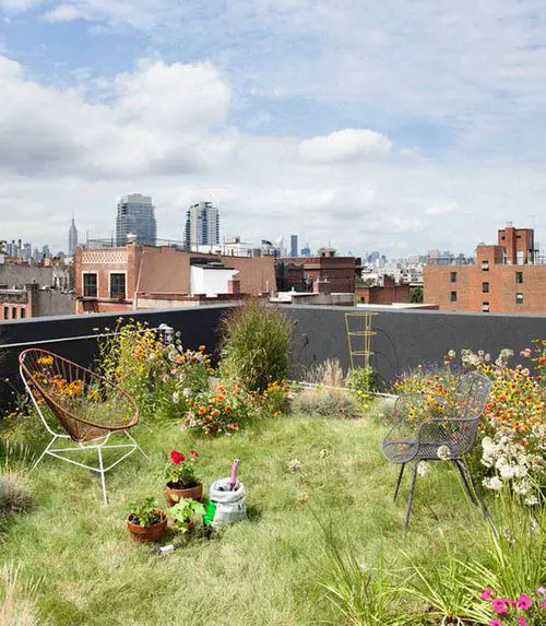 Rooftop Garden 16