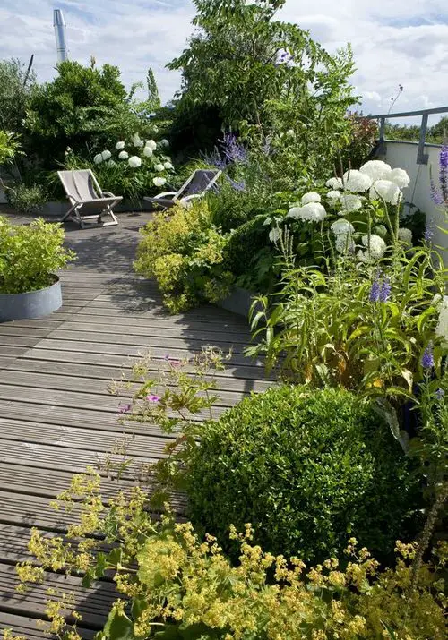 Rooftop Garden 40